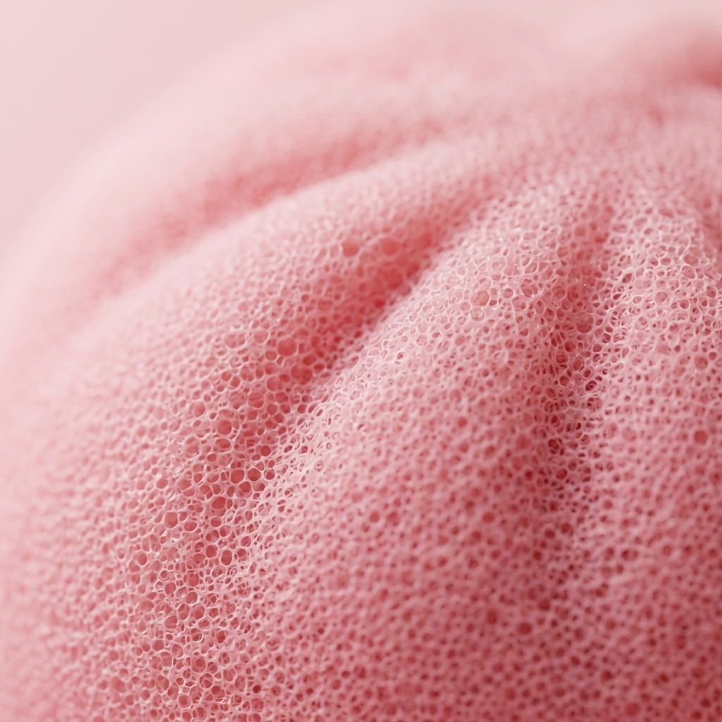 Pink Squishy Dumpling Blütenzart — Makro-Nahaufnahme der Textur